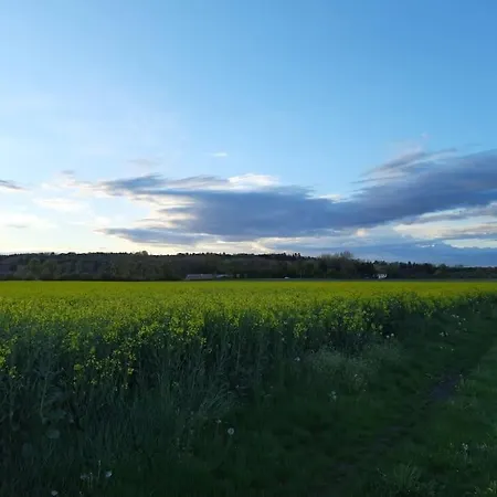 Lichtblick Apartment
