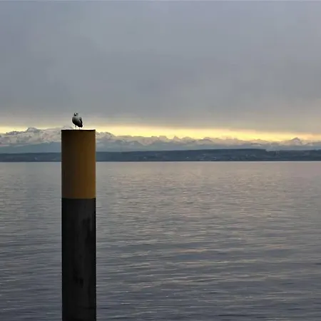 Lichtblick 公寓 Mengen