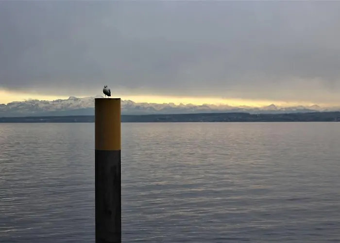 Lichtblick 아파트 멘겐