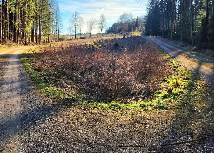 Lichtblick Daire Mengen